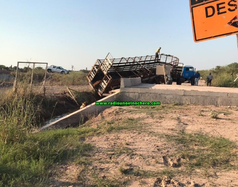 Ruta 91S: Un camión cargado con animales vacunos se fue a la cuneta en una de las alcantarillas
