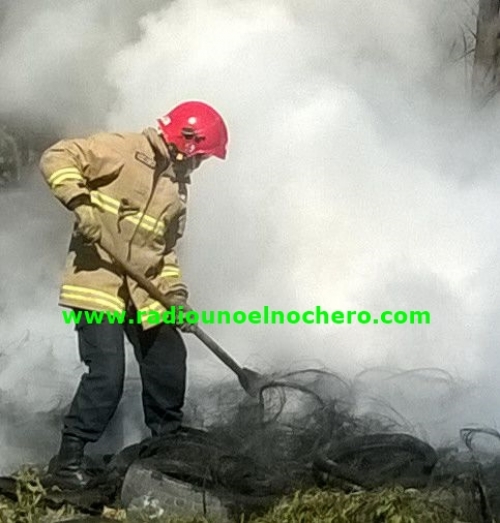 Lote 41, Sgo. del Estero: Encendió una fogata y provocó el incendio de 20 hectáreas de sorgo