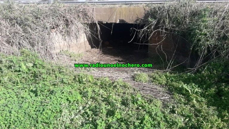 Secuestran un “ladrillo” de un kilo de marihuana en el acceso a Pozo Borrado
