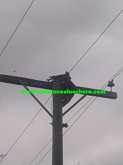 Un cuervo dejó sin energía eléctrica a El Nochero y Santa Margarita
