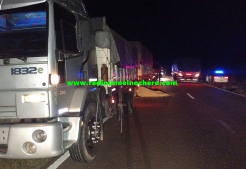 Accidente con suerte en Ruta Nacional N° 95