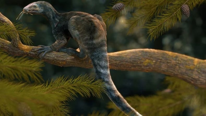 Cómo era el Venetoraptor, el enigmático reptil de 230 millones de años hallado en Brasil