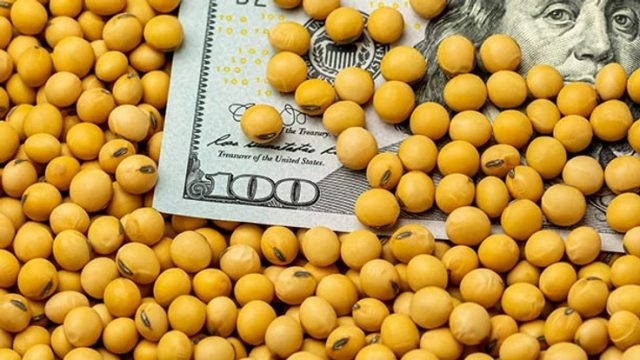 Dólar agro: en el Gobierno esperan que se liquiden u$s10 mil millones