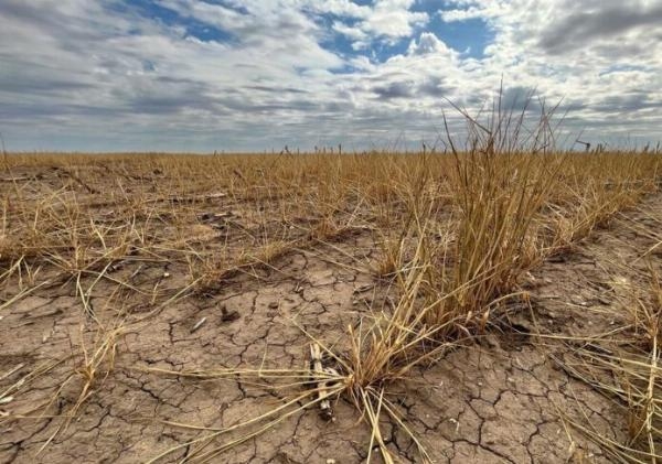 El campo está preocupado (por la sequía, incendios y las heladas) y pide la emergencia agropecuaria