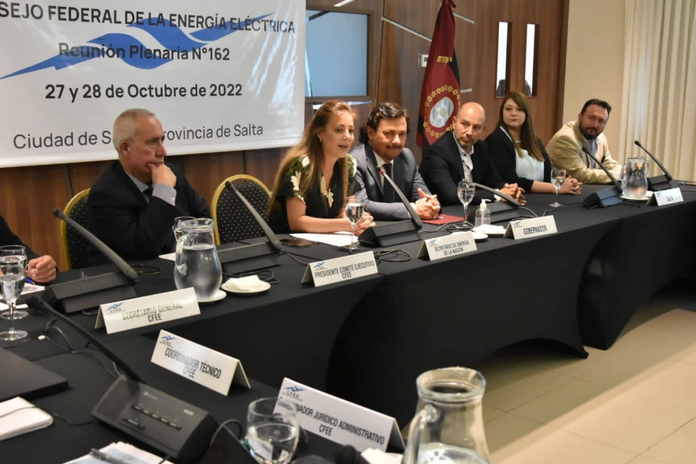 La 162º Reunión Plenaria del Consejo Federal de la Energía Eléctrica (CFEE)