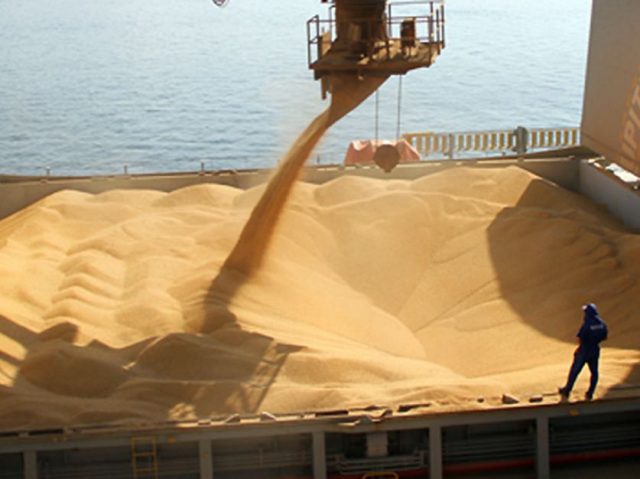 Cierran el registro de exportaciones de granos y subproductos