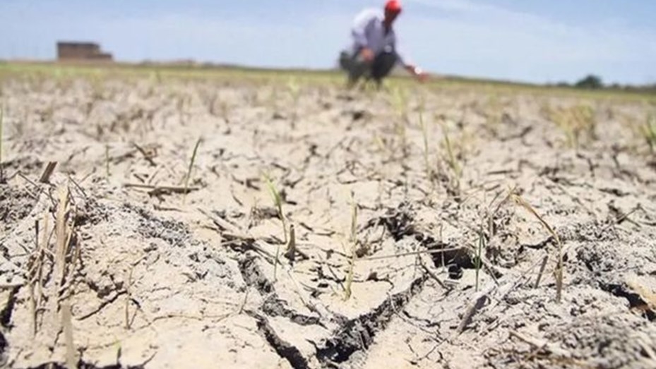 Situación compleja: La sequía aún persiste en Anta, Rivadavia y San Martín