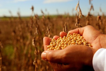 Sin parches y a fondo: el campo salteño espera medidas de Milei