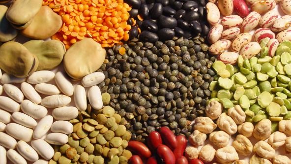 Hasta fin de mes, los productores del sur provincial invitan a hablar y disfrutar de las legumbres