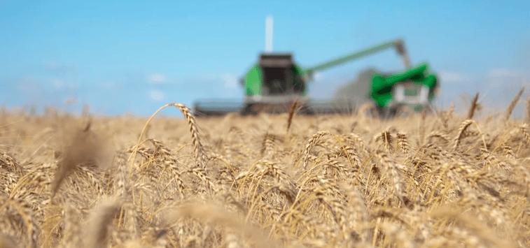 El campo salteño sufre las últimas consecuencias de la sequía