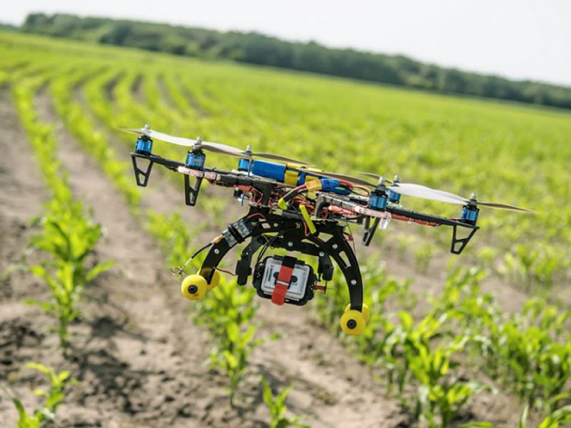 En dos años habrá 30.000 robots más en el campo