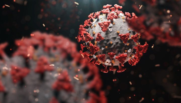 CORONAVIRUS. Coronavirus: ¿ la subvariante XE podría causar una nueva ola de contagios