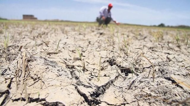 Según una encuesta, las condiciones de los productores son las peores de la historia