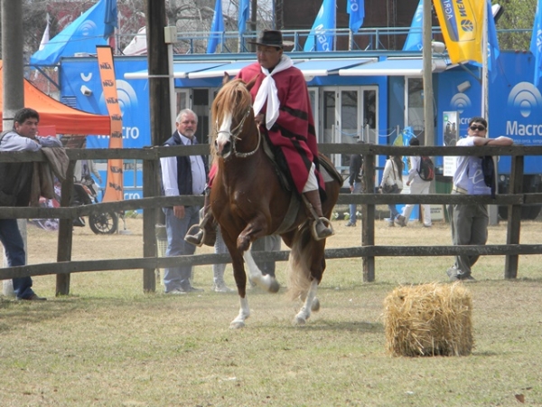 ACCION SOLIDARIA DURANTE EL CONCURSO PROVINCIAL DE CABALLOS PERUANO DE PASO