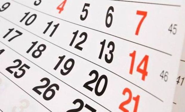 ¿CUÁNDO ES EL PRÓXIMO FERIADO Y FIN DE SEMANA LARGO EN NOVIEMBRE?