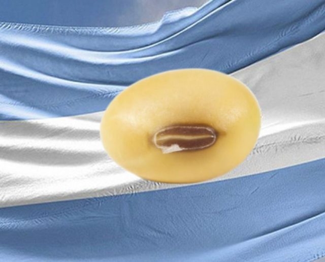 El Mundial de la Soja 2027 se jugará en Argentina