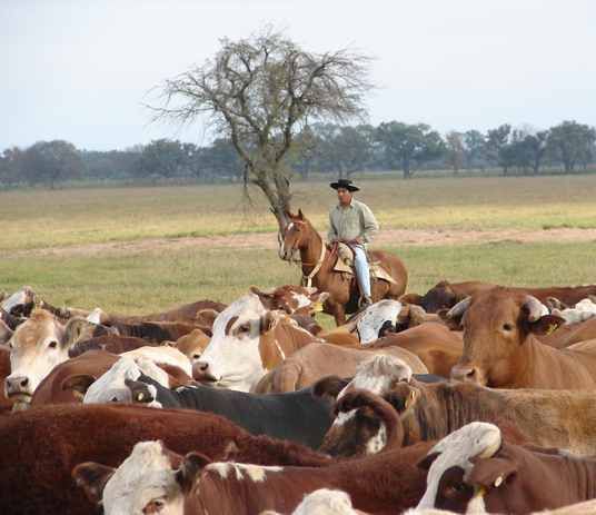 EL GOBIERNO SALTEÑO RECIBE PROYECTOS DE PROMOCIÓN DE INVERSIONES PRIVADAS