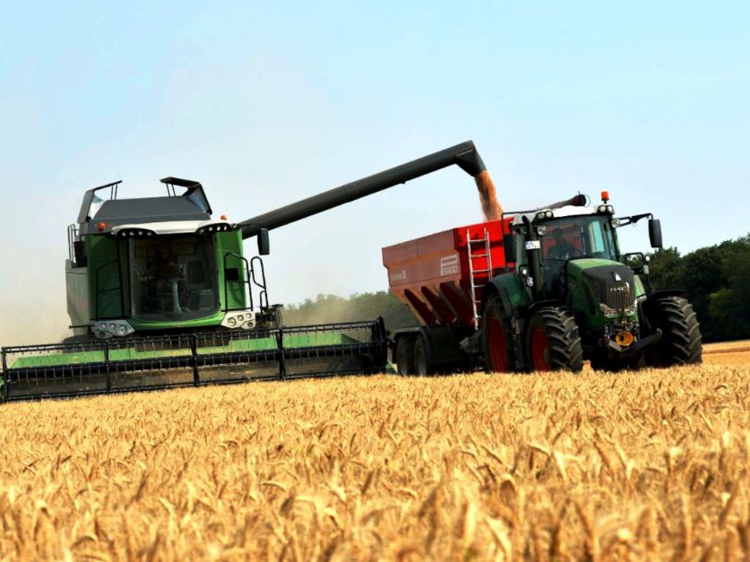 La segunda mejor cosecha de la historia, el campo espera aportar U$S10.000 millones más que en 2023