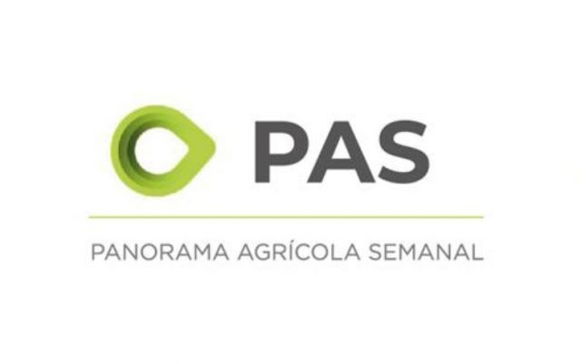 Avanza la siembra de los cultivos de invierno 16 junio 2023