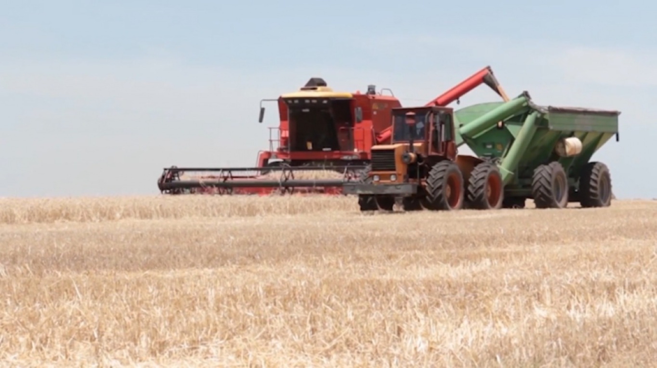 El campo le dará una fuerte ayuda a Milei en 2024
