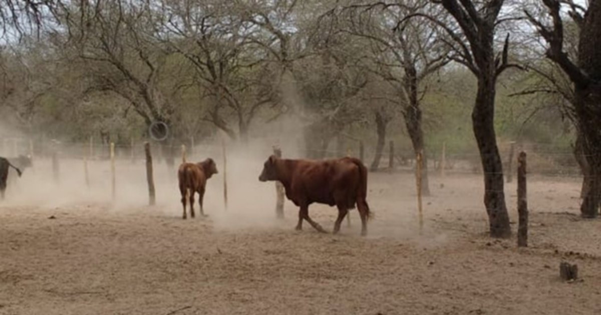 Productores sufrieron robos por $1.000 millones, en ocho meses