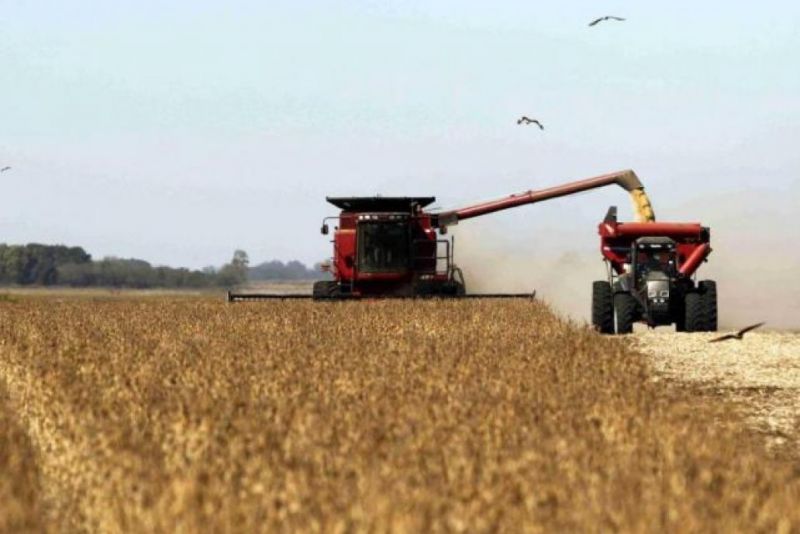 Malestar del campo: advierten que en Salta comenzó el racionamiento de combustible (abastecimiento diferido para productores)