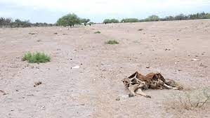 El campo salteño pide al Gobierno de Nación que declare la emergencia nacional agropecuaria