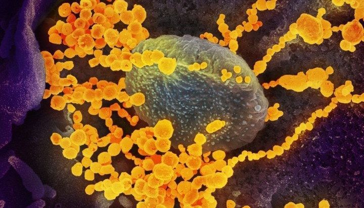 El Gobierno de Salta intensifica las medidas preventivas por coronavirus en el país