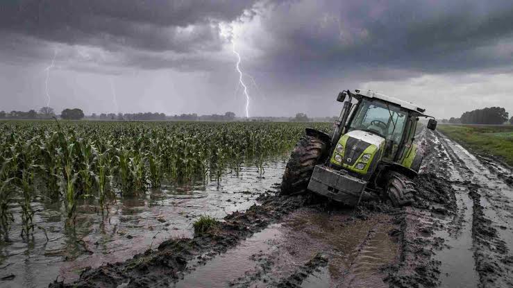 El INTA confirmó que El Niño está en fase cálida y ya hay plan federal para anticiparse a los excesos hídricos