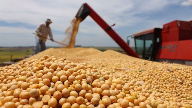 Ilegal y abusivo, así se ve el pedido de exportadores de soja