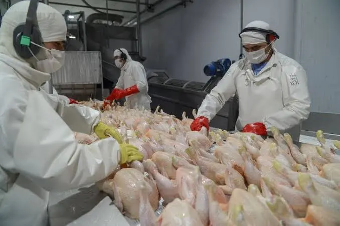Por qué el pollo superó a la carne vacuna en Argentina: claves del boom del consumo