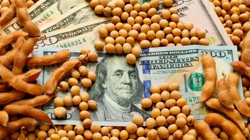 Pasada ya la cosecha, ¿impacta en Salta la suba del precio la soja en el mercado mundial?