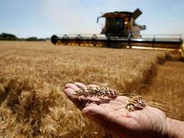 El agro aportaría más de US$ 34.500 millones en 2026 (según proyecciones de la Bolsa de Comercio)