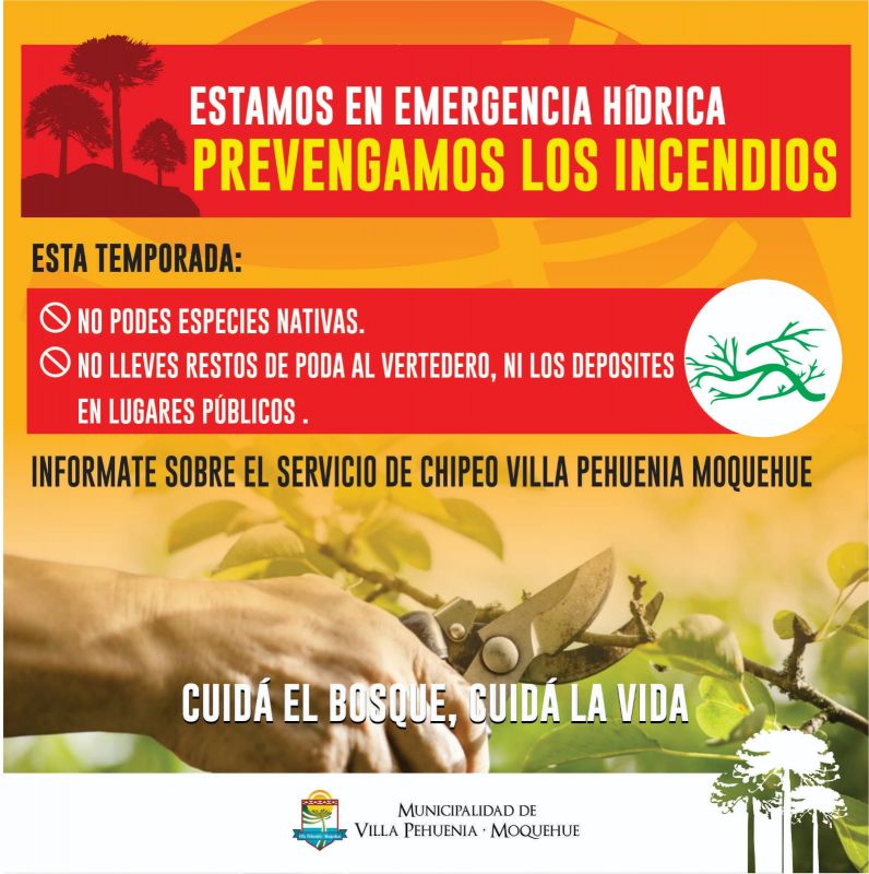 Villa Pehuenia Moquehue se prepara para la temporada de verano con una fuerte campaña ambiental ante la emergencia hídrica.