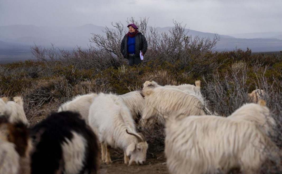 Mujeres rurales de toda la provincia se reúnen en San Martín de los Andes