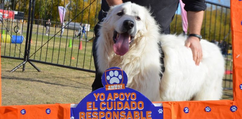 Convocan a ser parte del Registro Provincial de Guardadores de Animales