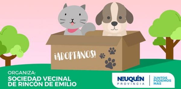 Se viene un nuevo “Rincón Animal” en Neuquén