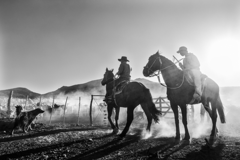 Extienden plazos del concurso de fotografías de Patrimonio Cultural Inmaterial