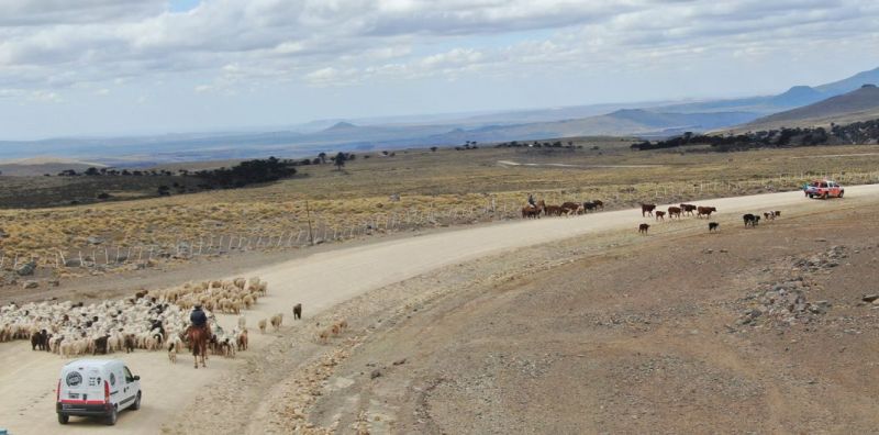 Se inició el operativo Trashumancia en el Norte de la provincia