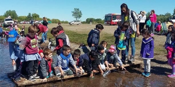 Última siembra de truchitas del año en el río Limay