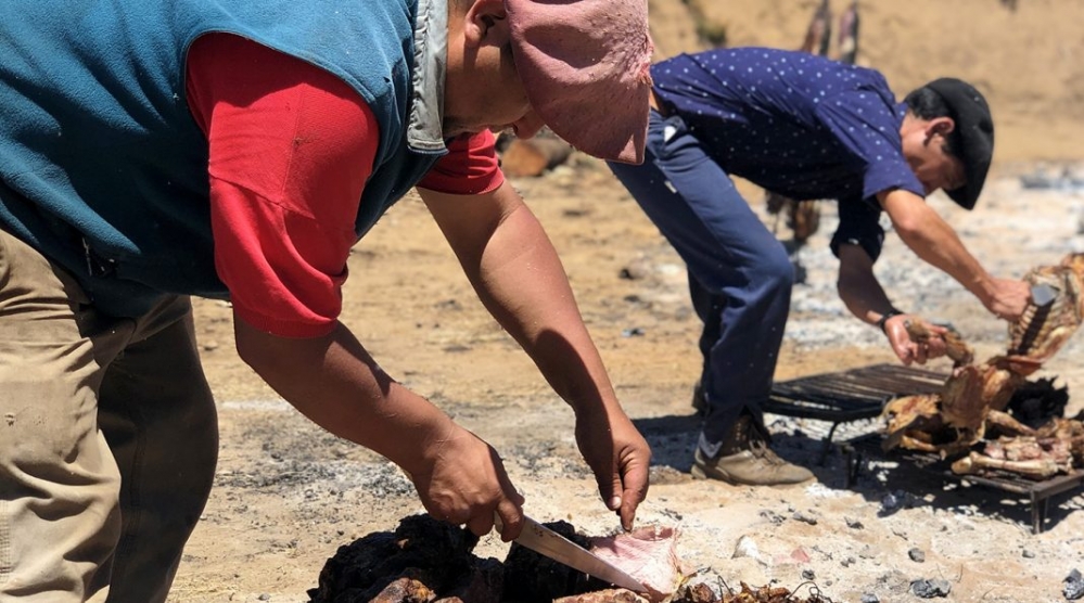 Gran convocatoria en la primera Fiesta Provincial del Asado con Cuero en Aluminé