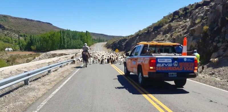 Comenzó el operativo Trashumancia en el Centro y Norte de la provincia