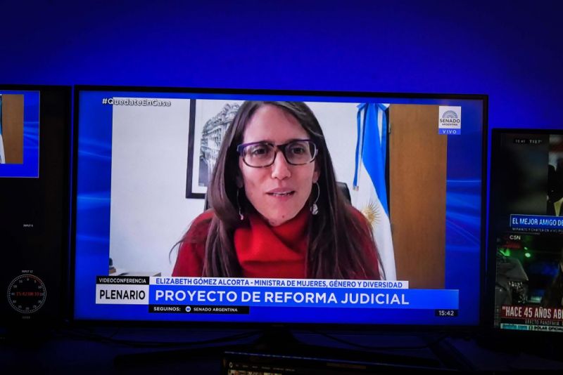 La ministra de las Mujeres, Géneros y Diversidad expuso en el Senado de la Nación sobre la Reforma Judicial y Perspectiva de Género.