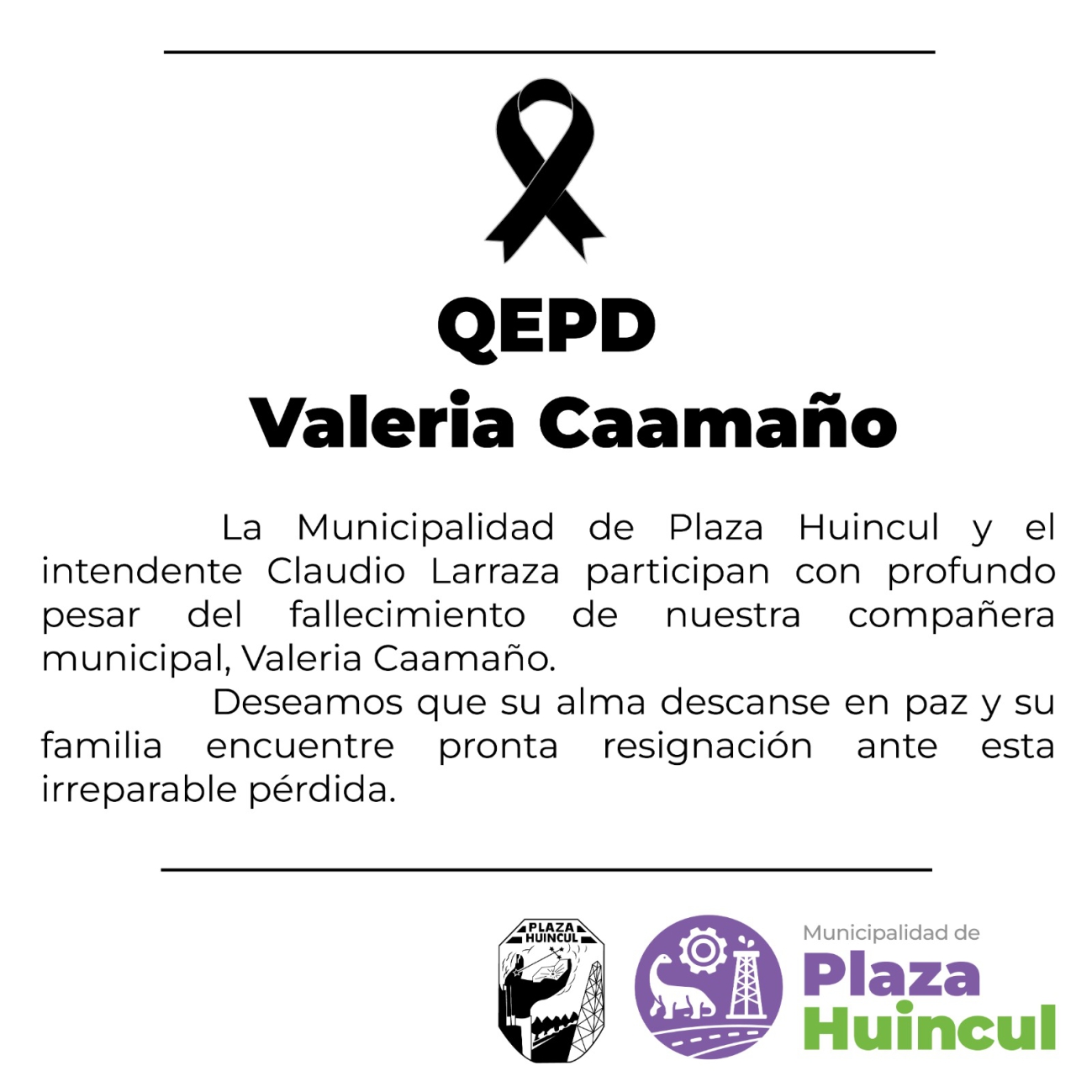 MUNICIPALIDAD DE PLAZA HUINCUL