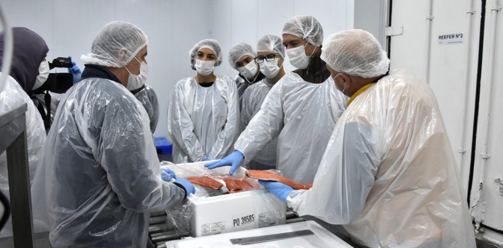 En octubre exportarán pescados de Piedra del Águila desde el aeropuerto neuquino
