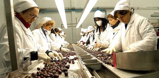 Neuquén continúa primera en generación de empleo