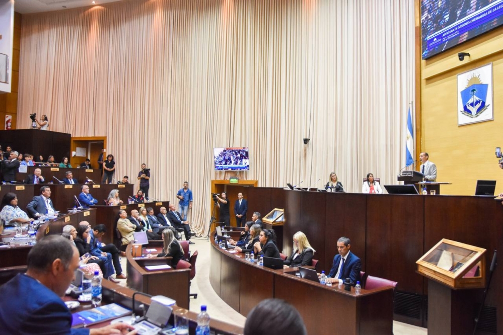 Por Ley, Neuquén intucionalizará la Línea 148 y el Dispositivo de Atención a Varones