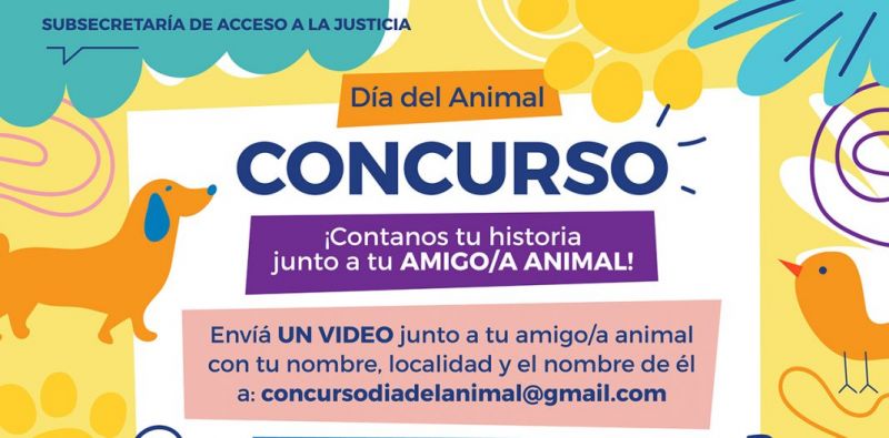 Lanzan concurso de videos con anécdotas sobre animales no humanos