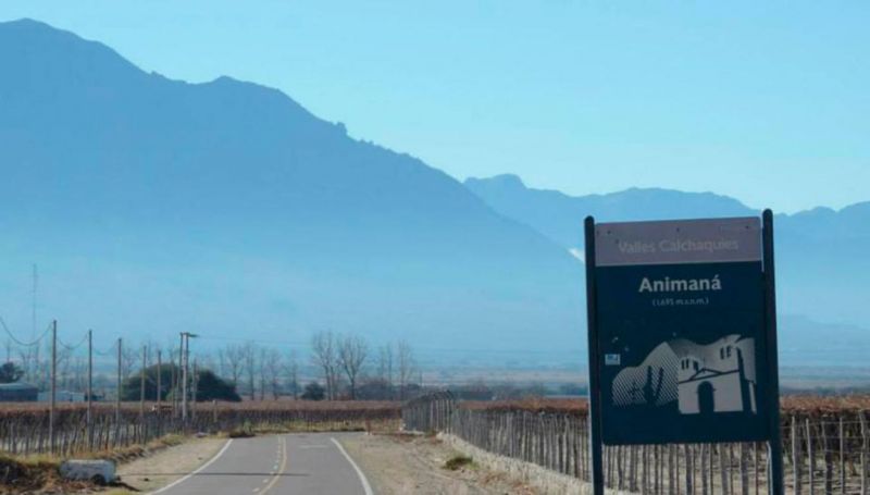 Por el CIC en Animaná