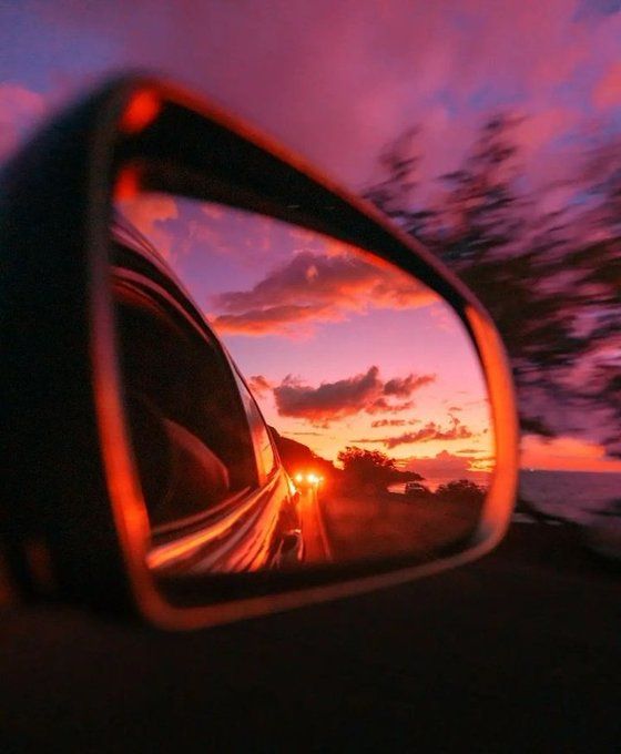 Vivir con la muestra